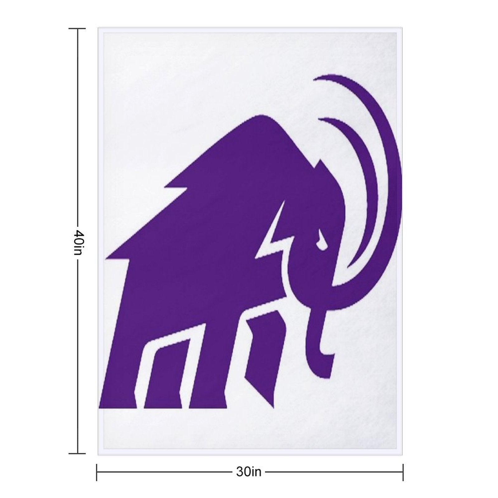 Amherst College Logo Gift-ready Throw Blanket