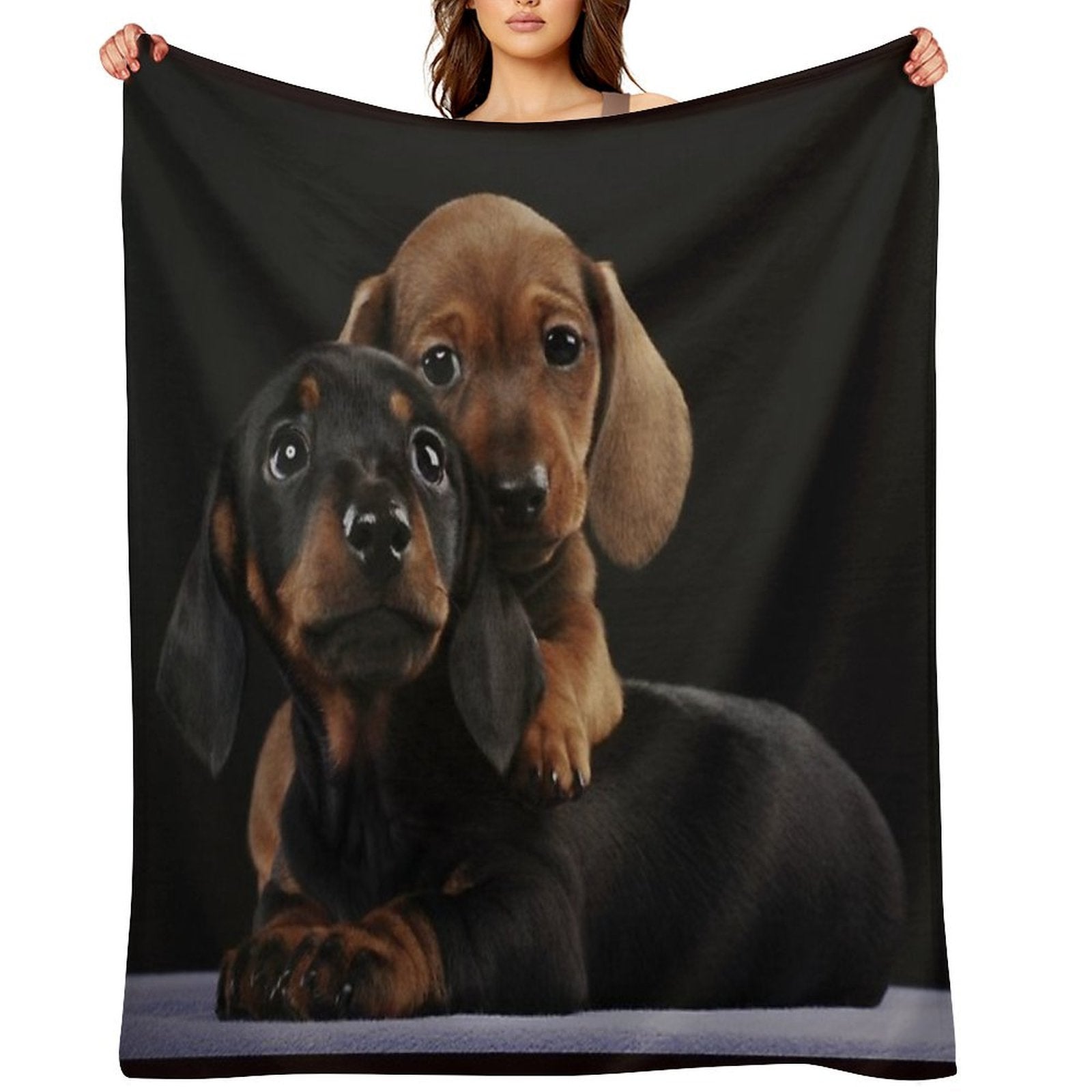 Dachshund Dog Portrait Photo Pupies Velvety-soft Throw Blanket