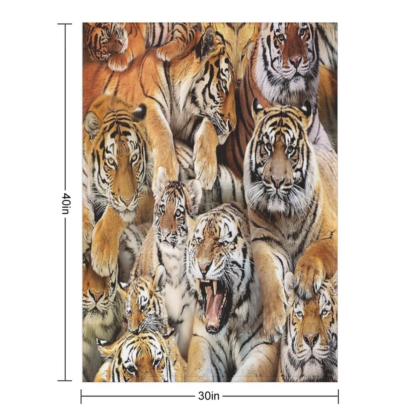 Tigers Gift-ready Throw Blanket
