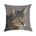 Stunning Tabby Cat Close Up Portrait Vector Isolated Soft Washable Throw Pillow