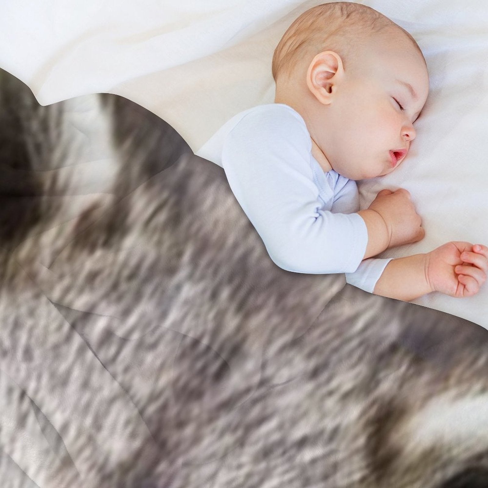 Raccoon Face Plush Throw Blanket