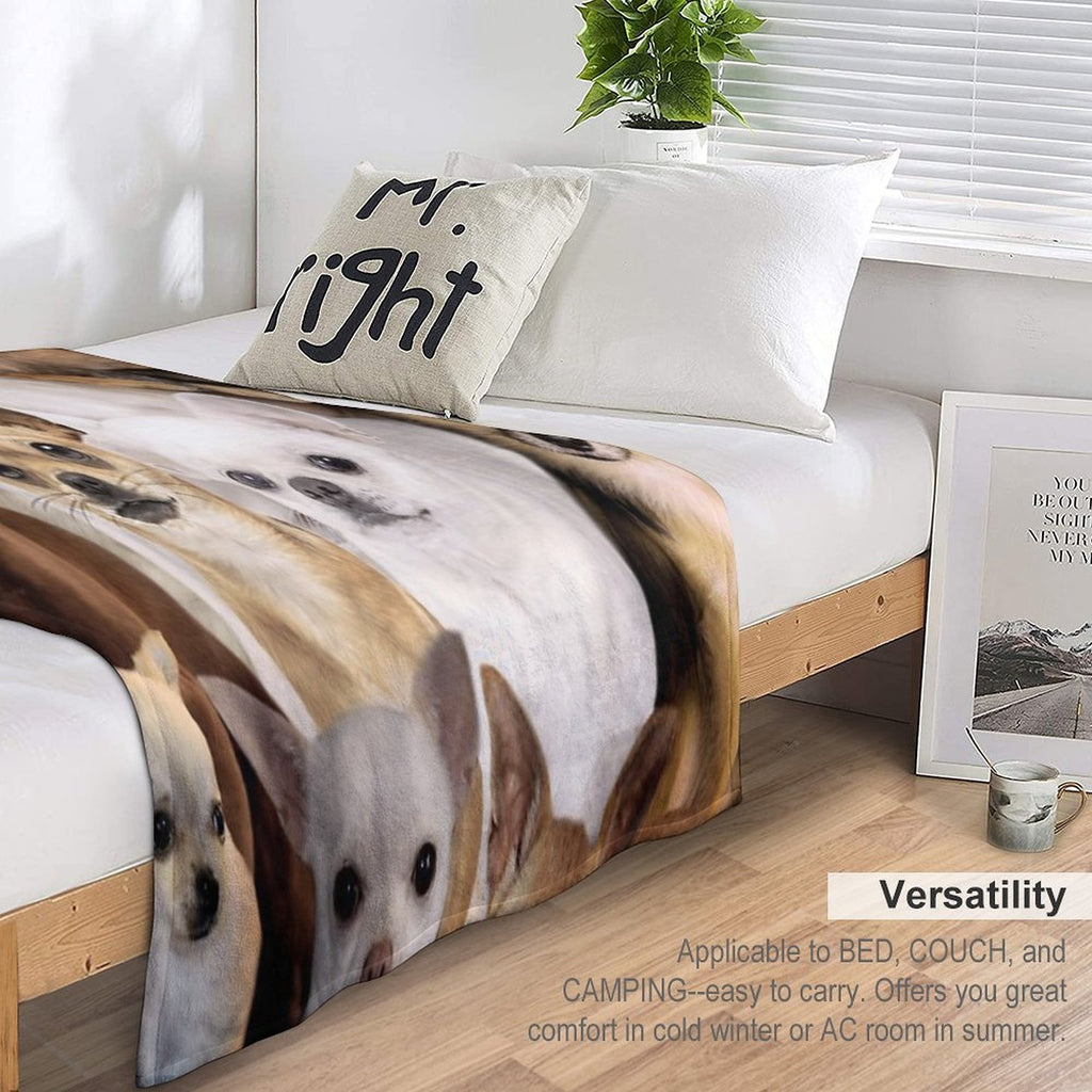 Chihuahuas Anti-pilling Throw Blanket