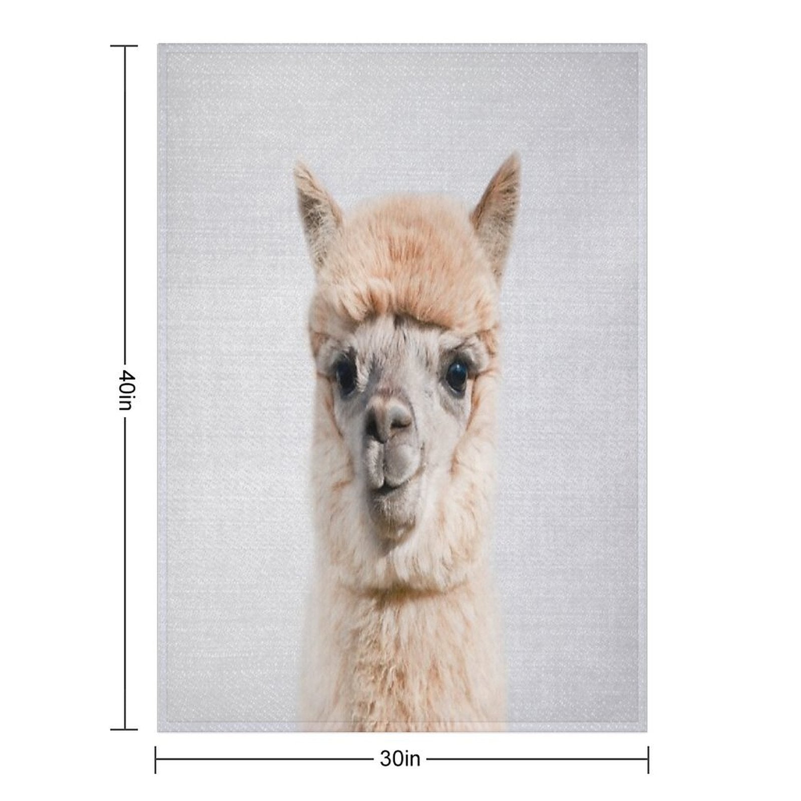 Alpaca - Colorful Velvety-soft Throw Blanket