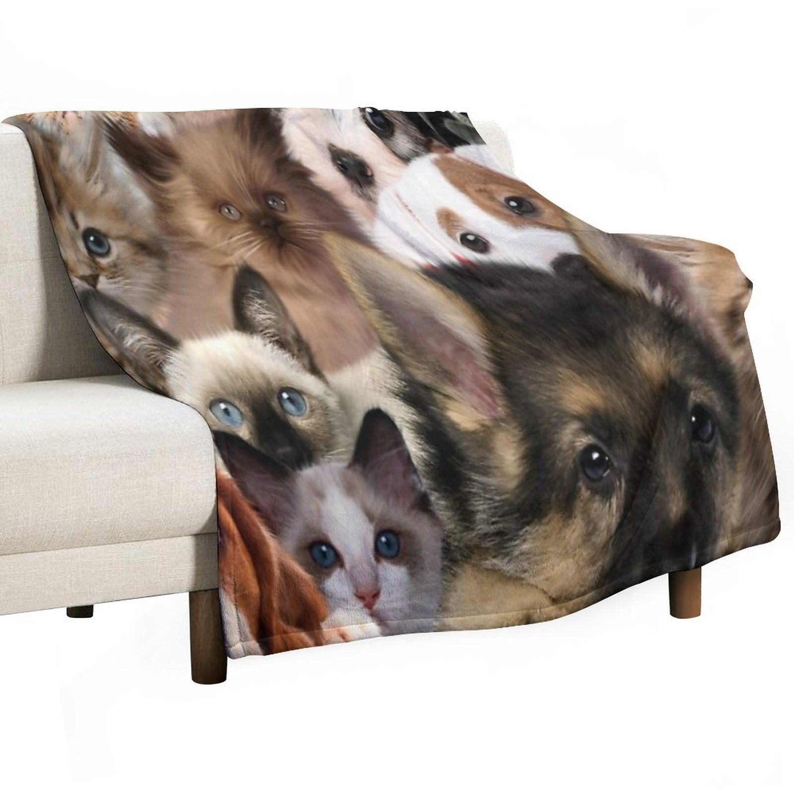 Groups of Cats And Dogs Comfort Throw Blanket