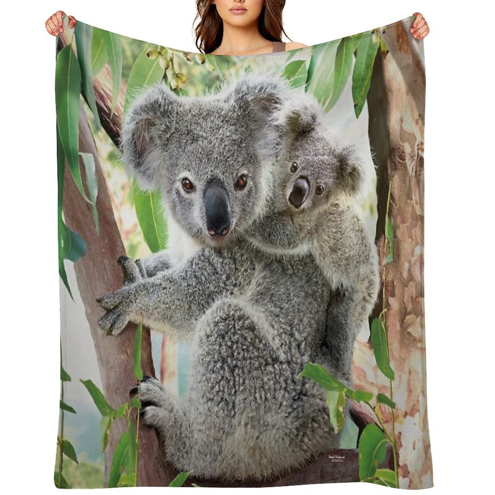 Koala Cuddles Velvety-soft Throw Blanket