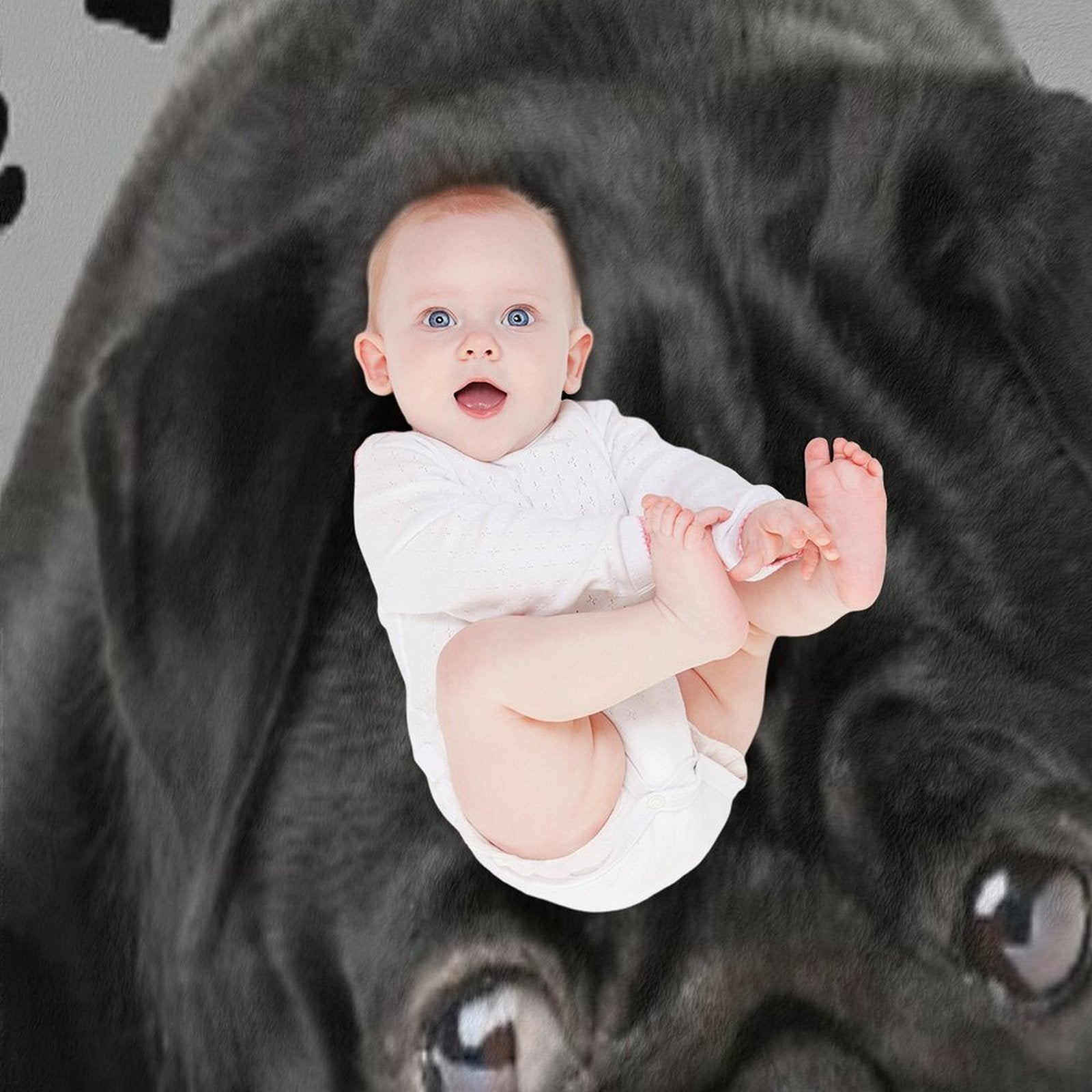 Adorable Black Pug Durable Throw Blanket