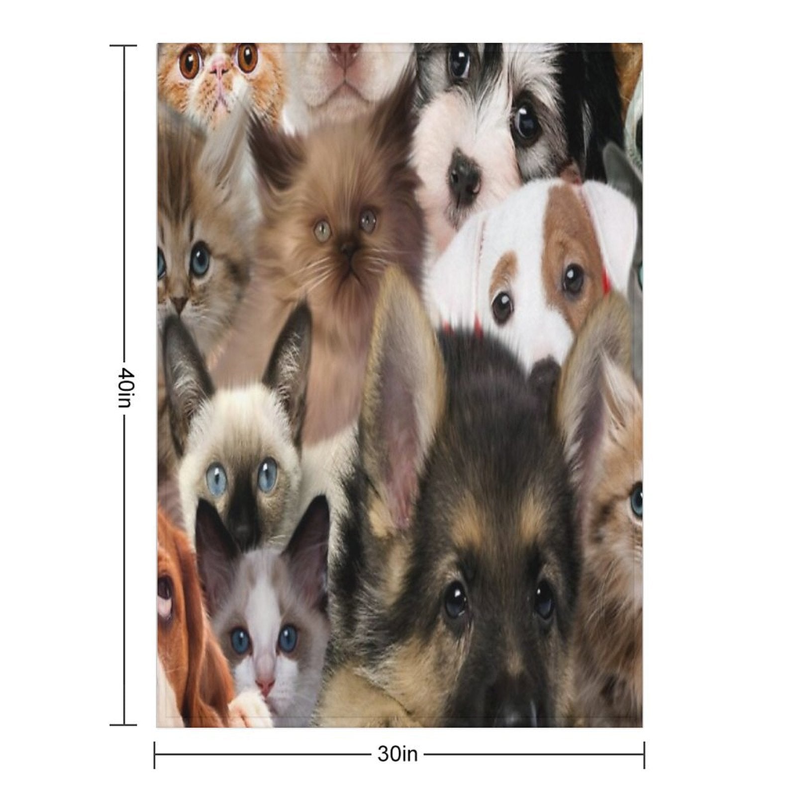 Groups of Cats And Dogs Comfort Throw Blanket