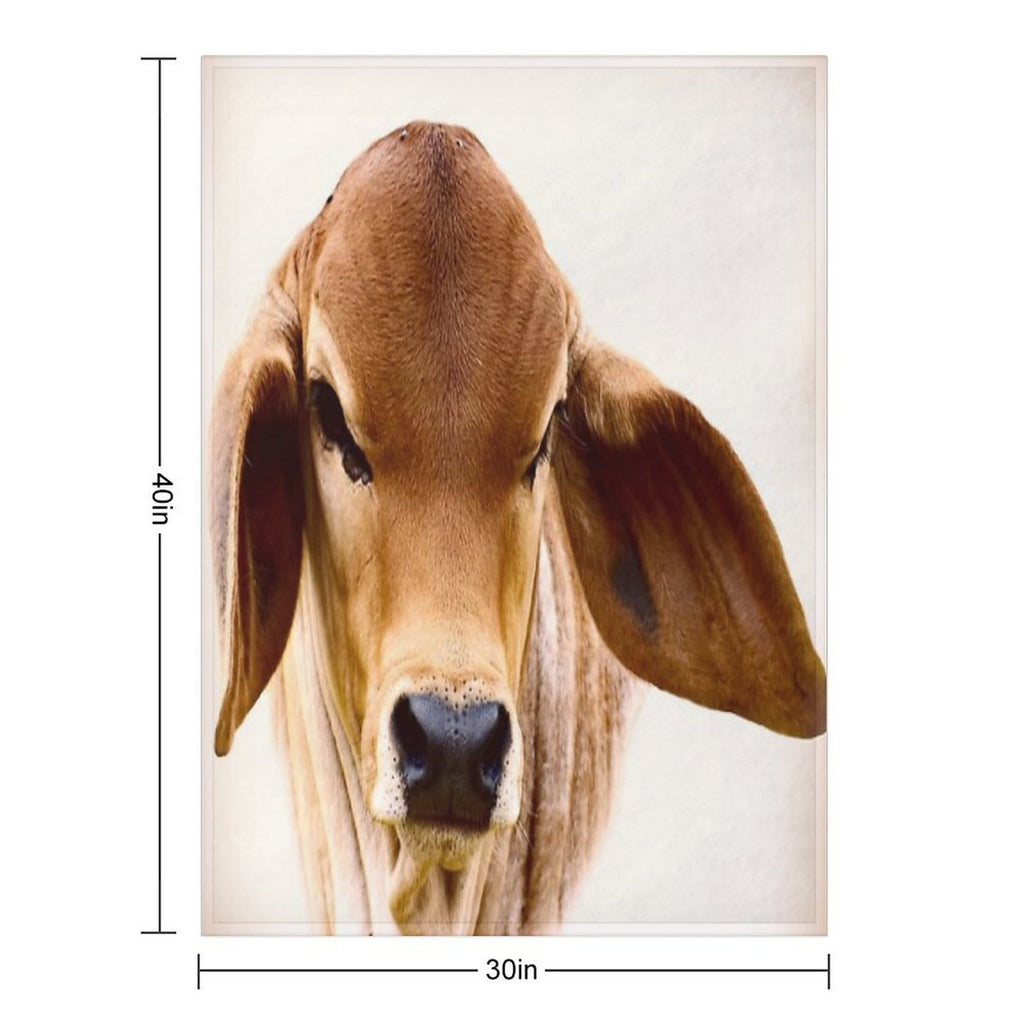 BRAHMAN CALF, Versatility Throw Blanket
