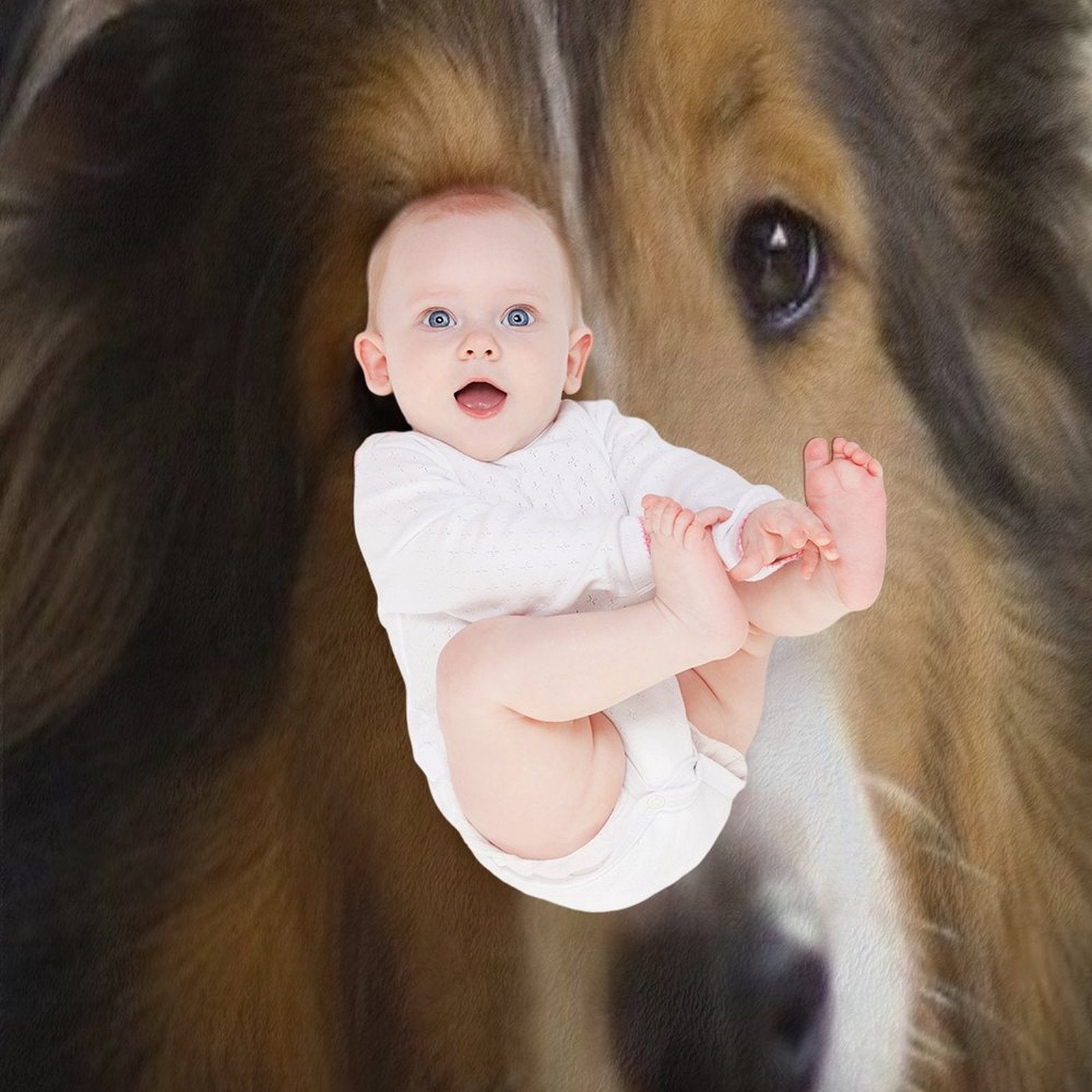 Sheltie Eco-conscious Throw Blanket