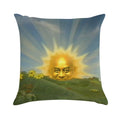 Ainsley Harriott in The Sun Soft Shrink-Resistant Throw Pillow