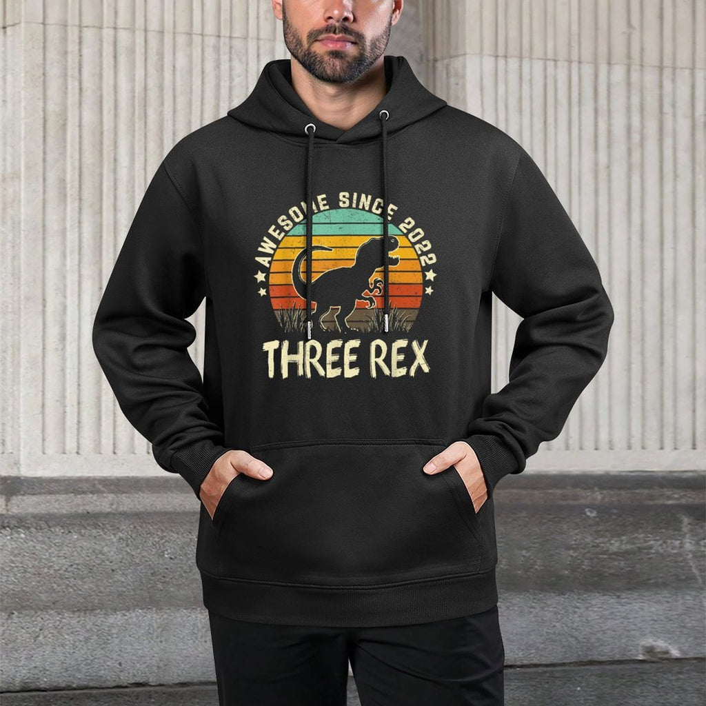 Three Rex Birthday Boy 3 Years Old Dinosaur 3rd Birthday Boy Versatile Streetwear Hoodie