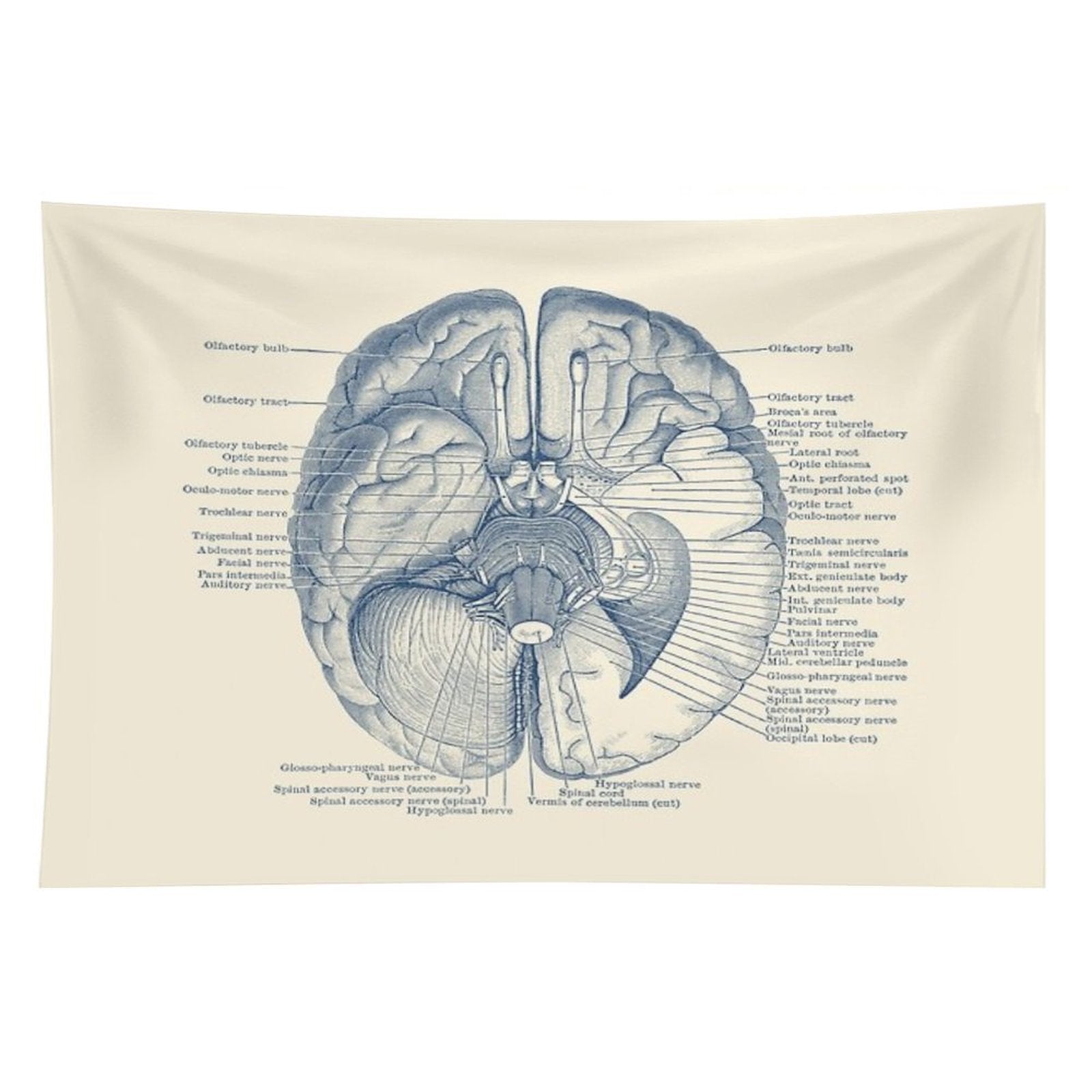 Brain Nervous System Diagram Tapestry