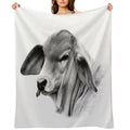 BRAHMAN CALF PORTRAIT, WALL ART AND DESIGNS Compact Throw Blanket