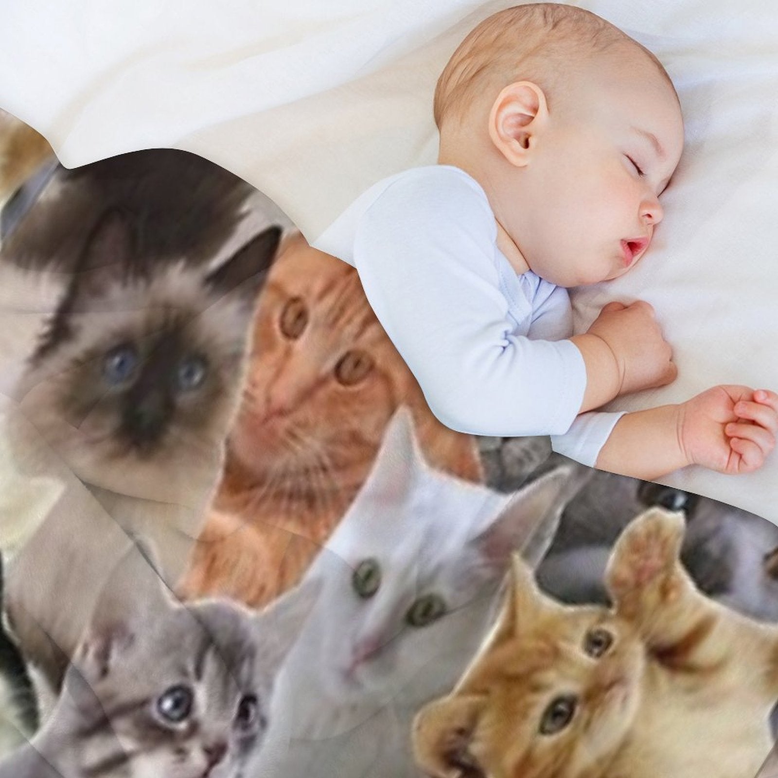 Cat Memes All-season Throw Blanket