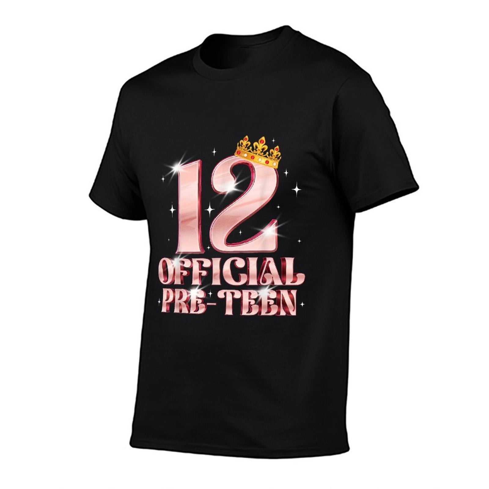 12th Birthday Girls 12 Years Old Official PRE-TEEN  Affordable Price T-Shirt