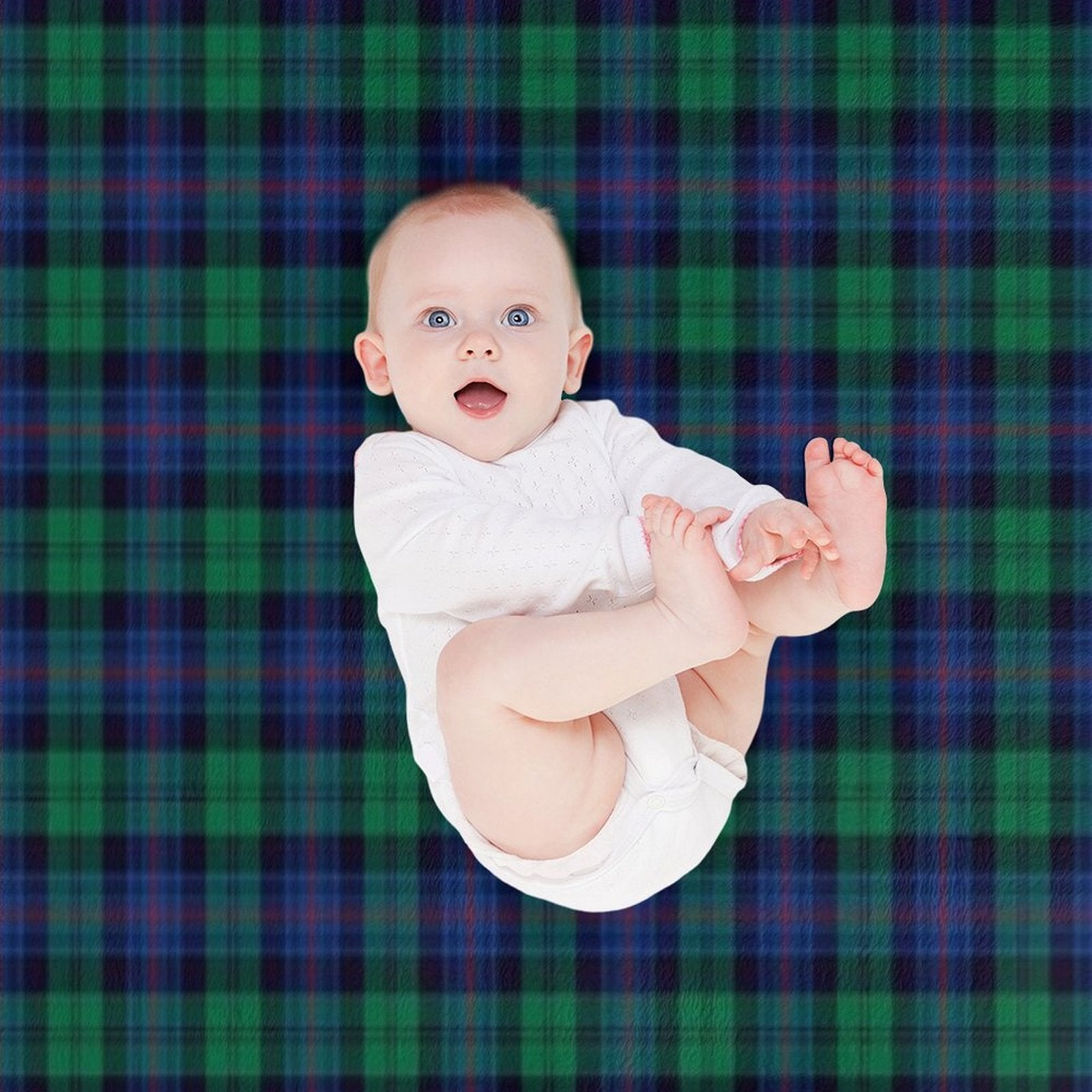 Clan Armstrong Tartan Gift-ready Throw Blanket