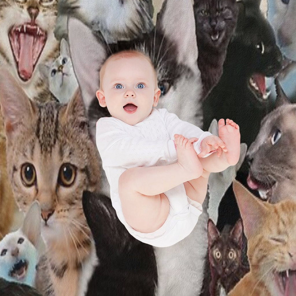 Cats Quick-dry Throw Blanket