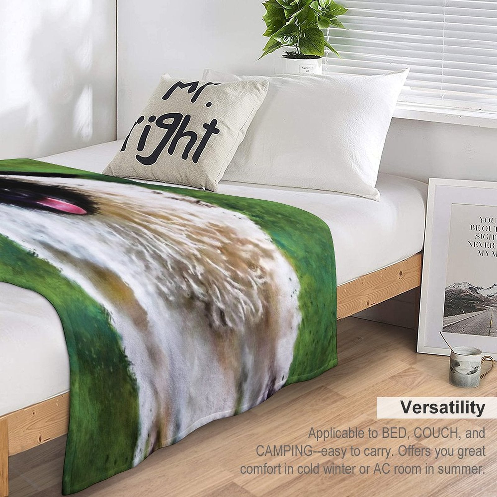 Swiss Valais Blacknose Sheep, Black Faced Sheep, Cute Baby Farm Animal, Walliser Schwarznasenschaf, Cute Fluffy Sheep Comfort Throw Blanket