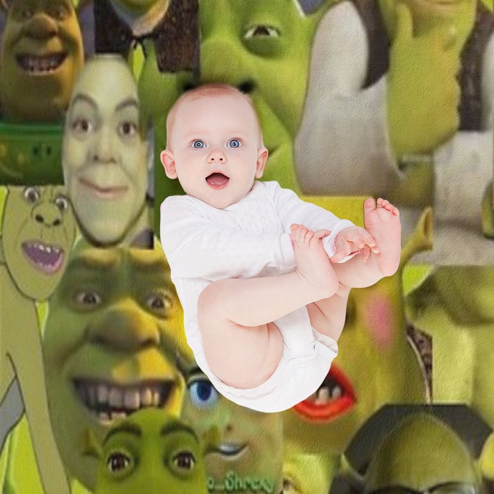 Shrek Meme Collage Gift-ready Throw Blanket