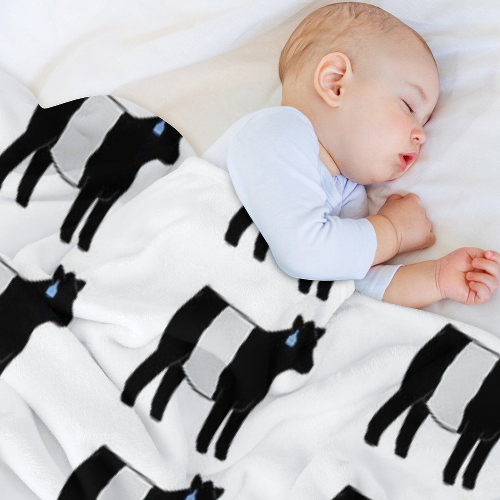 Belted Galloway Heifer Wrinkle-free Throw Blanket