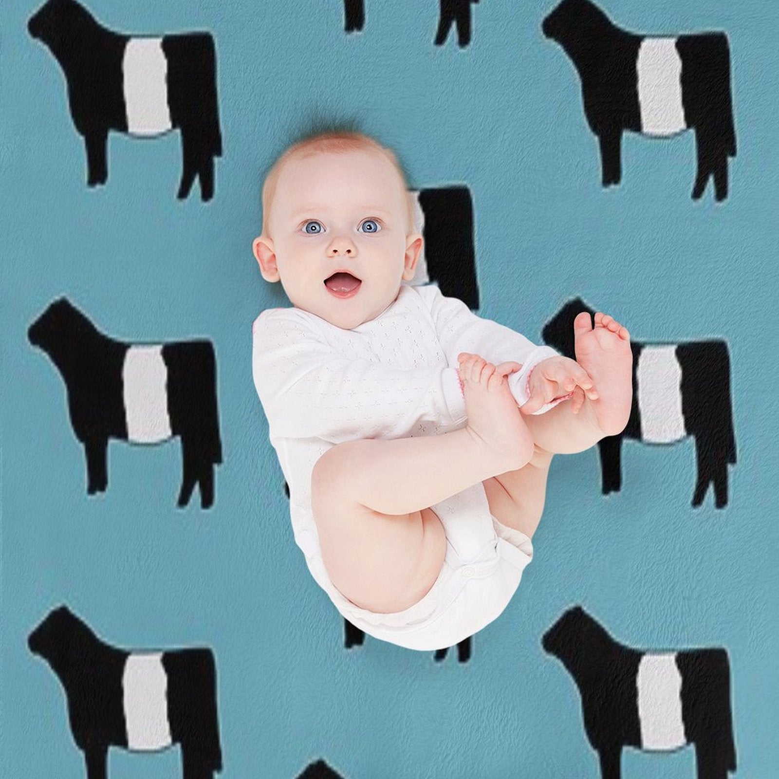 Belted Galloway Cow Plush Throw Blanket