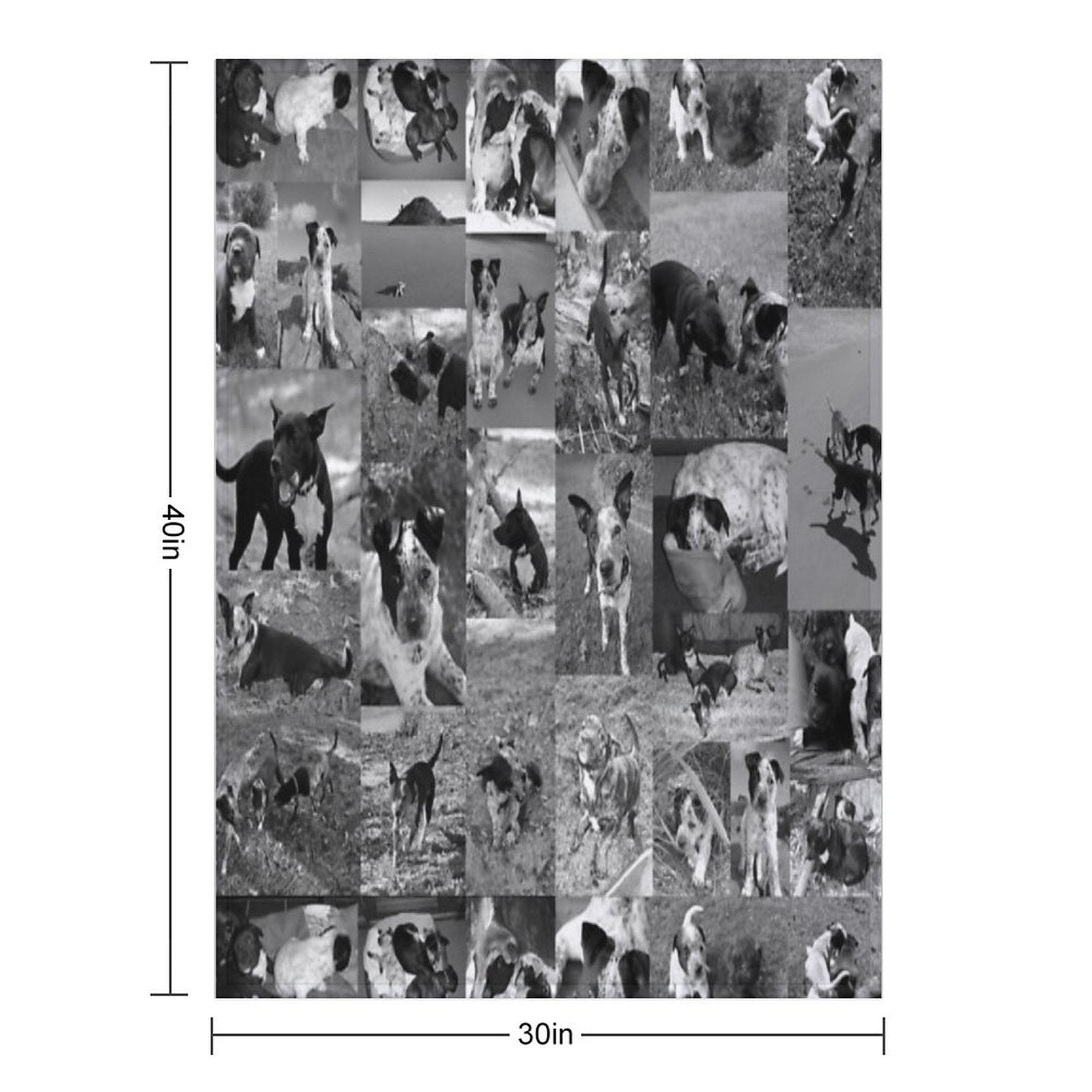Too Many Puppies Blanket Shrink-resistant Throw Blanket