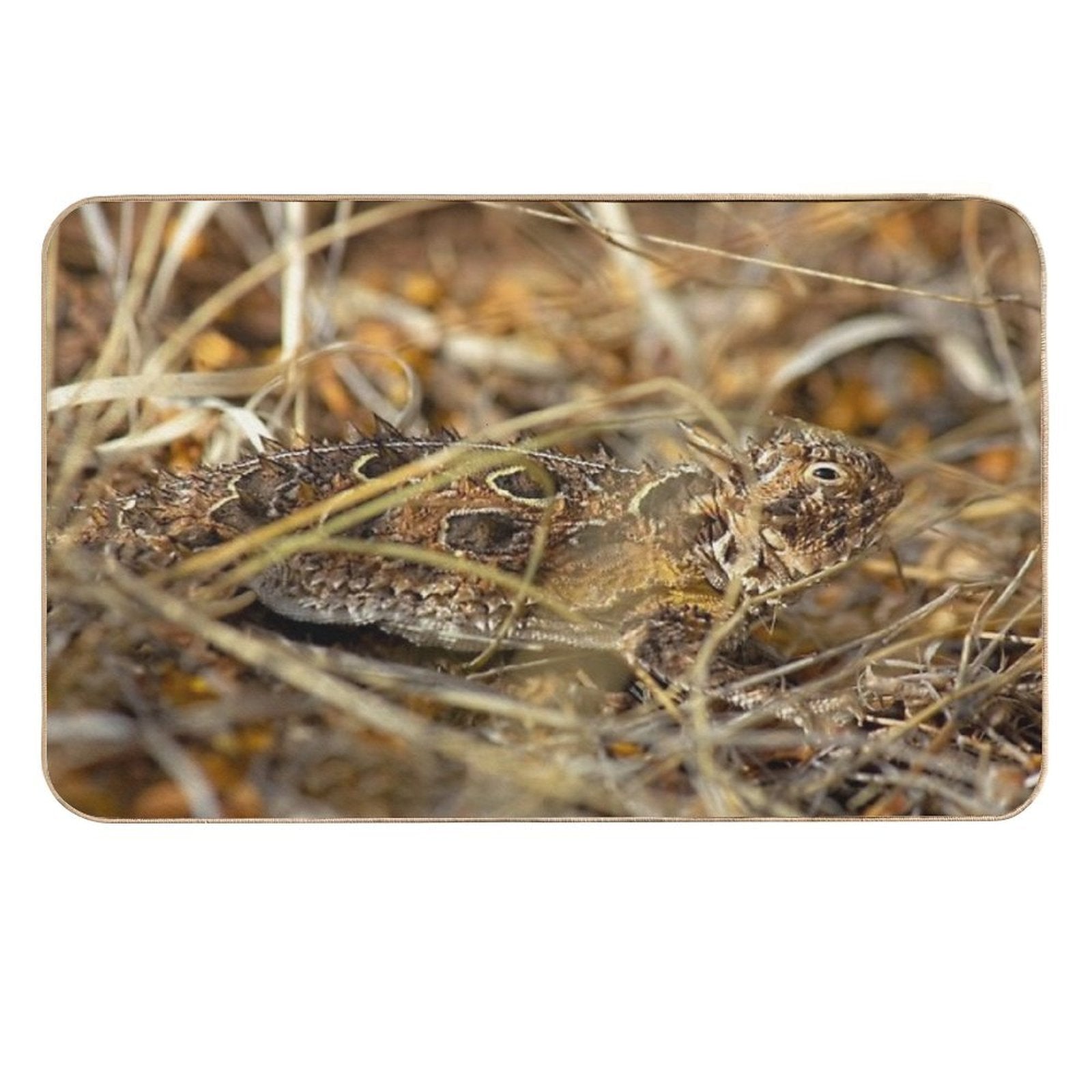 Now You See Me  Long-Lasting Bath Mat