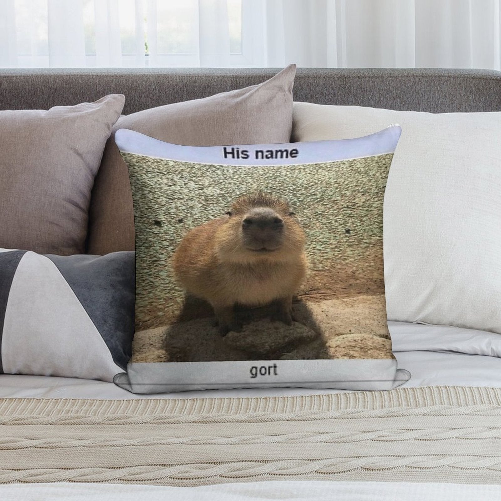 Gort Soft Ultra-Soft Texture Throw Pillow