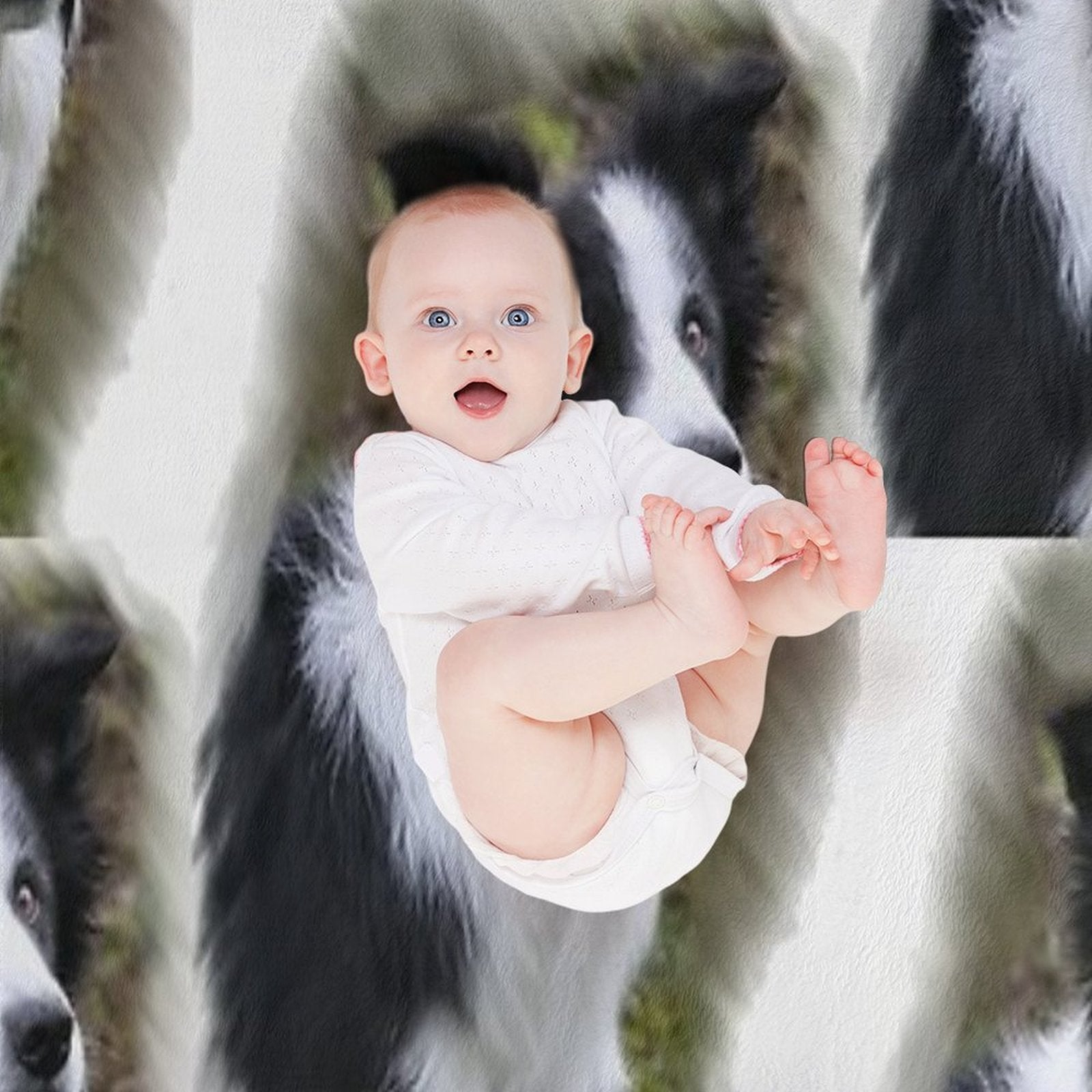 Border Collie Lover S Gifts Quick-dry Throw Blanket