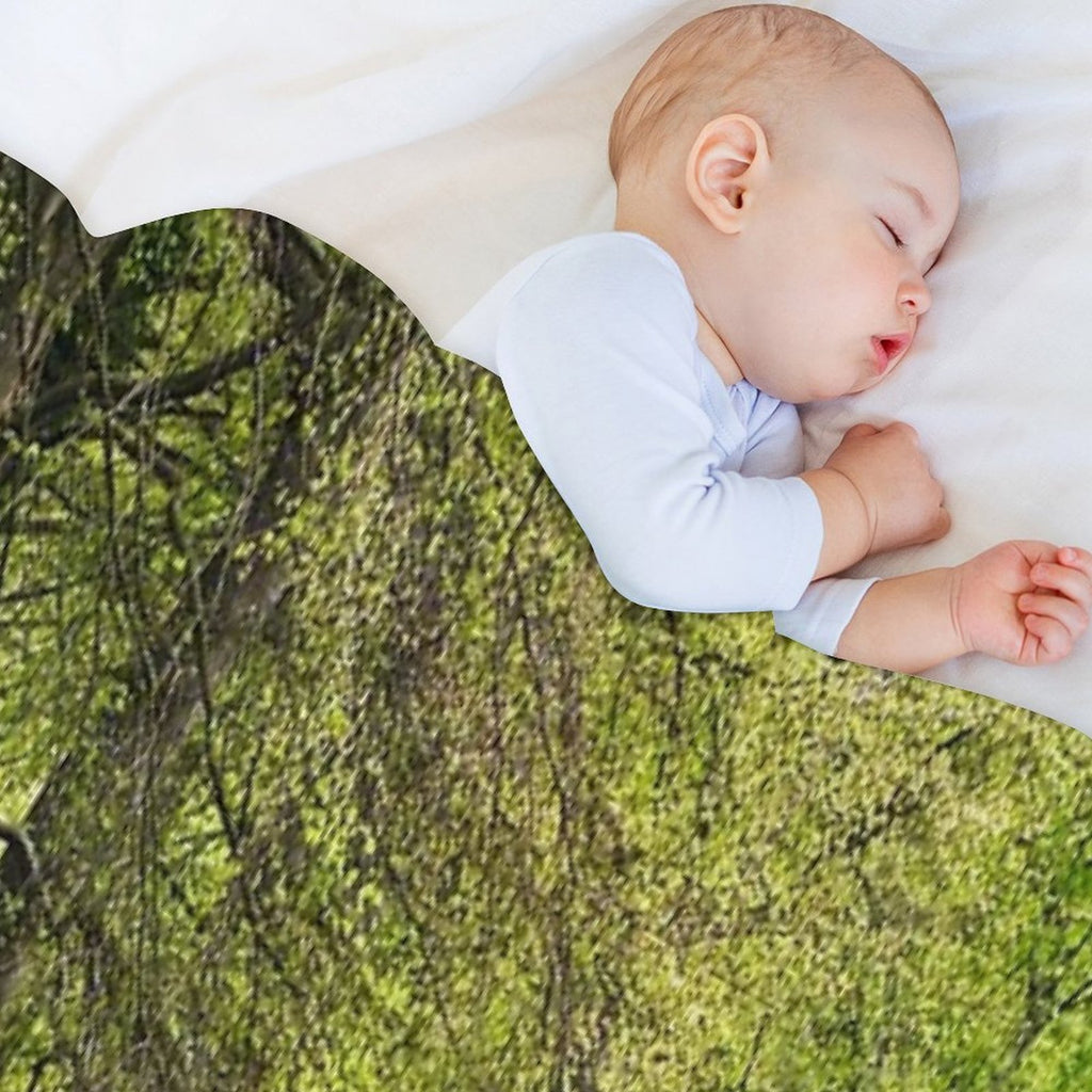 Spring Bluebell Woodland Walk Premium Throw Blanket