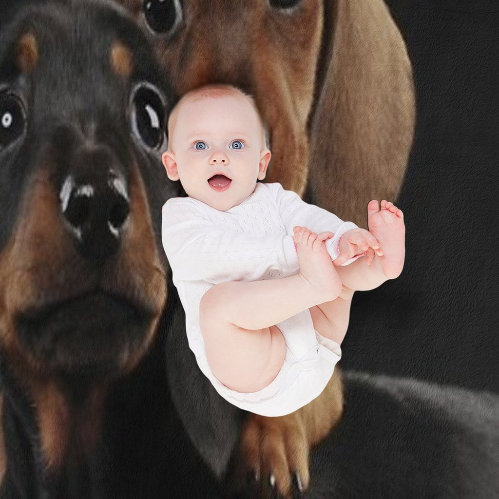 Dachshund Dog Portrait Photo Pupies Velvety-soft Throw Blanket