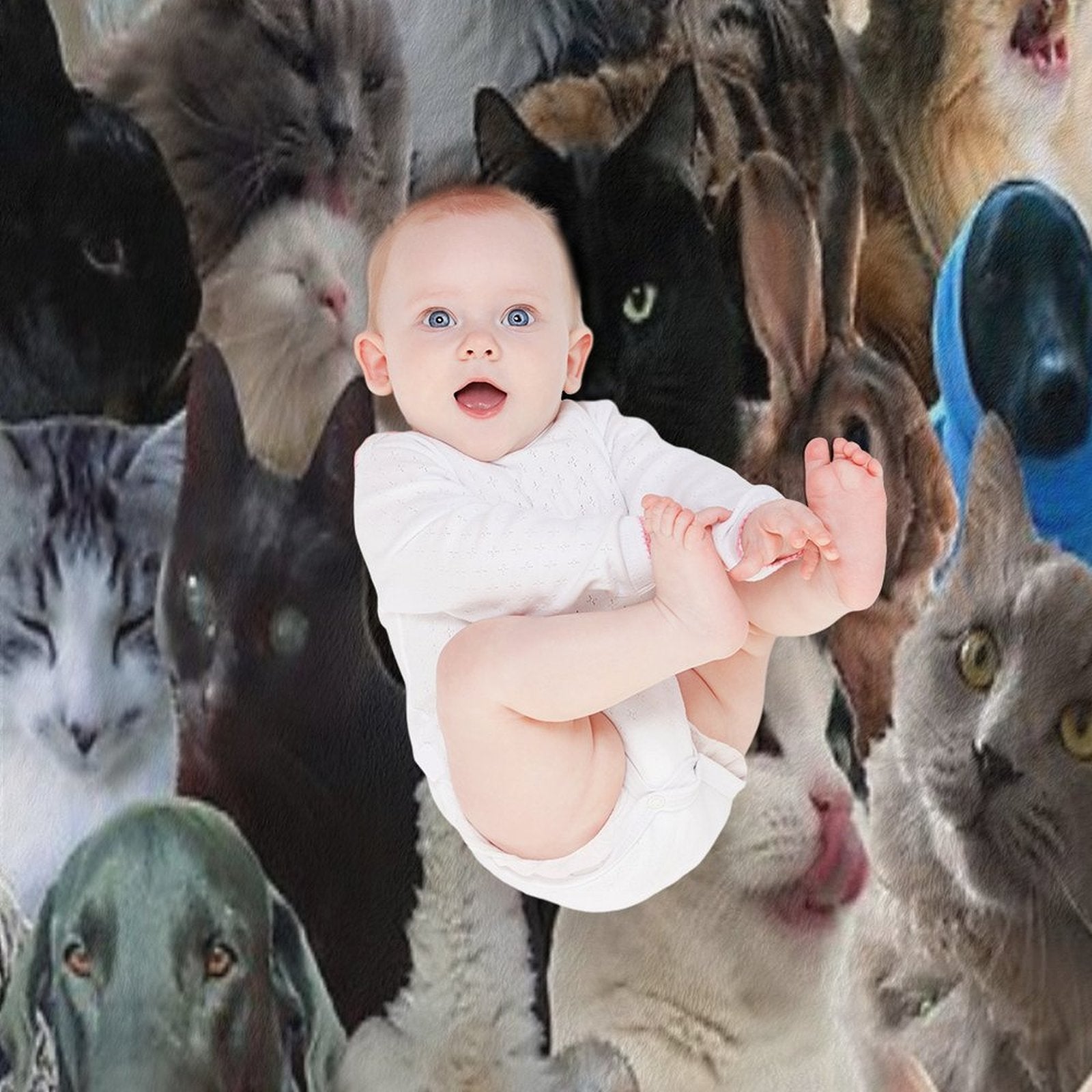 Fun Animal Puzzle Pattern Wrinkle-free Throw Blanket