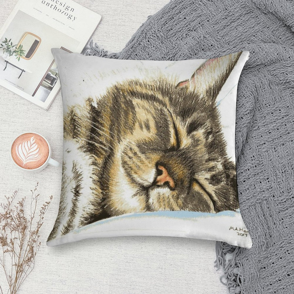 Sleeping Tabby Cat Soft Washable Throw Pillow