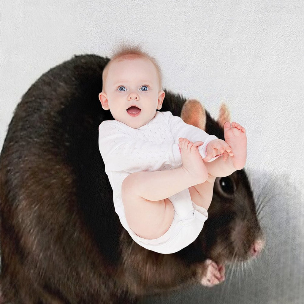 Rat Anti-pilling Throw Blanket