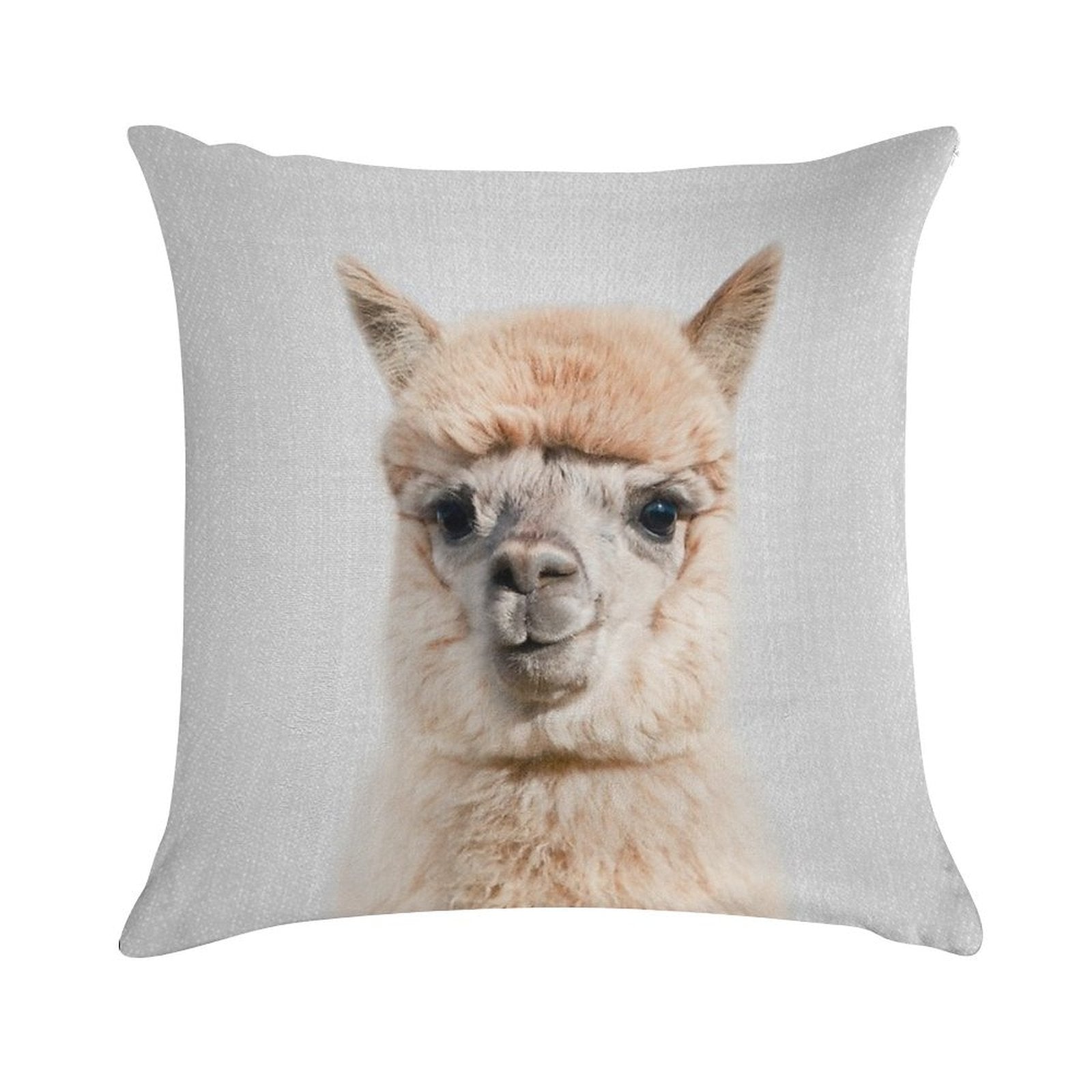 Alpaca - Colorful Soft Gift Ready Throw Pillow