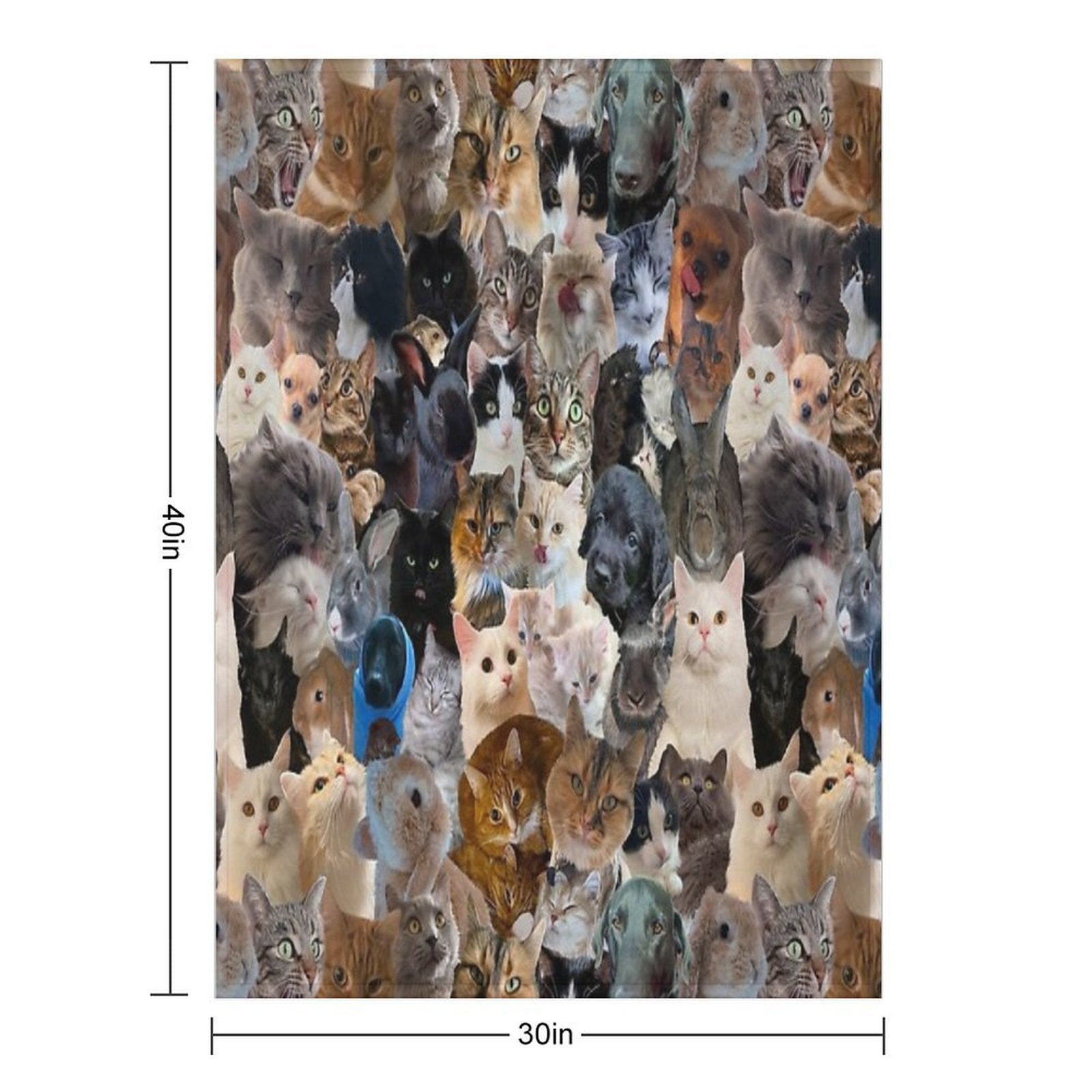 Pets Are Life Sustainable Throw Blanket
