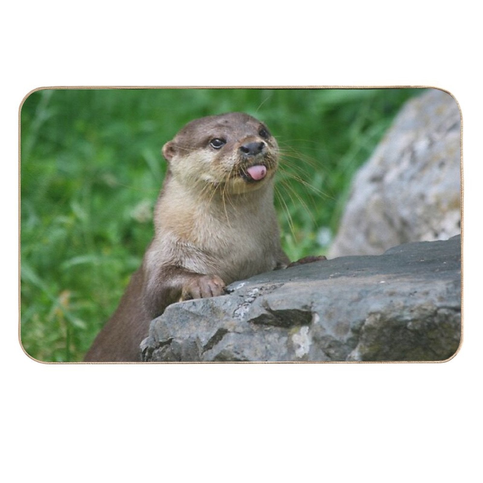 Cheeky Otter  Stain-Proof Bath Mat