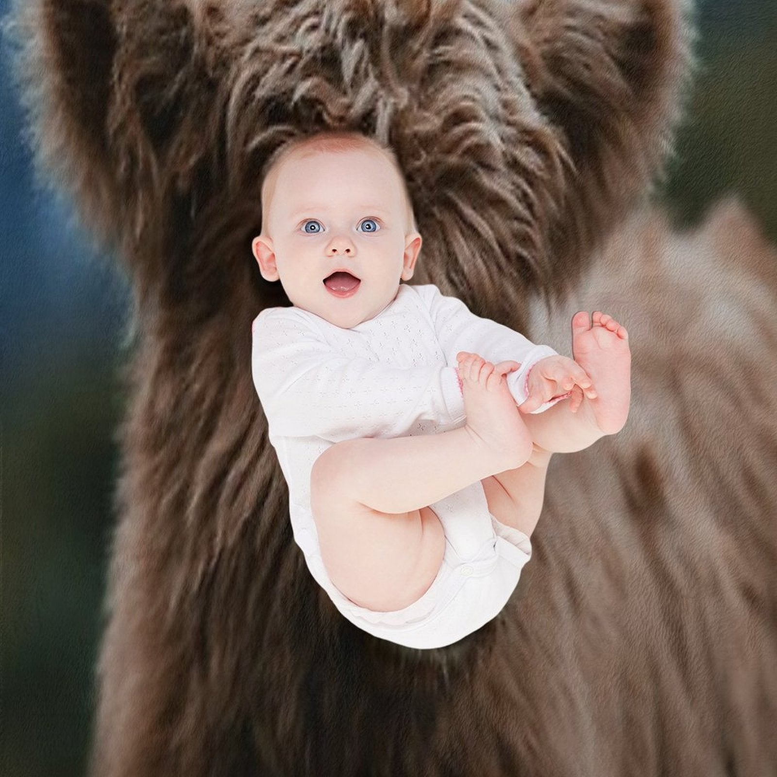 Baby Highland Cow Durable Throw Blanket