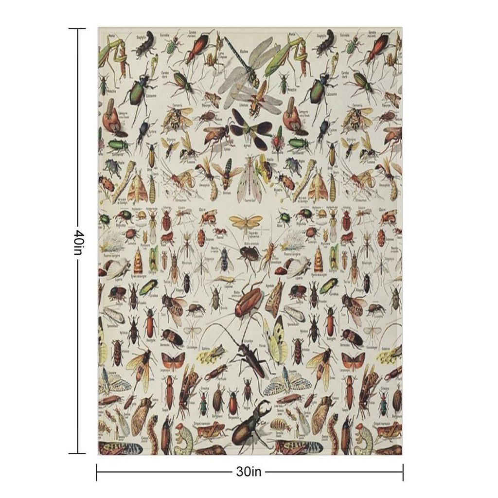 Insects Chart. Scientific Illustration, Text in French Eco-conscious Throw Blanket