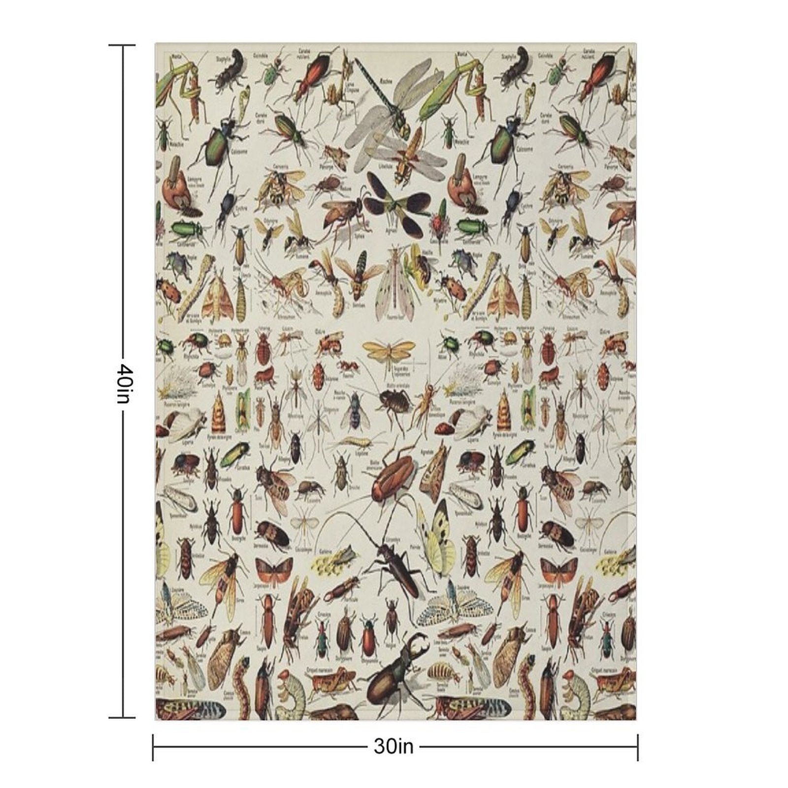Insects Chart. Scientific Illustration, Text in French Eco-conscious Throw Blanket