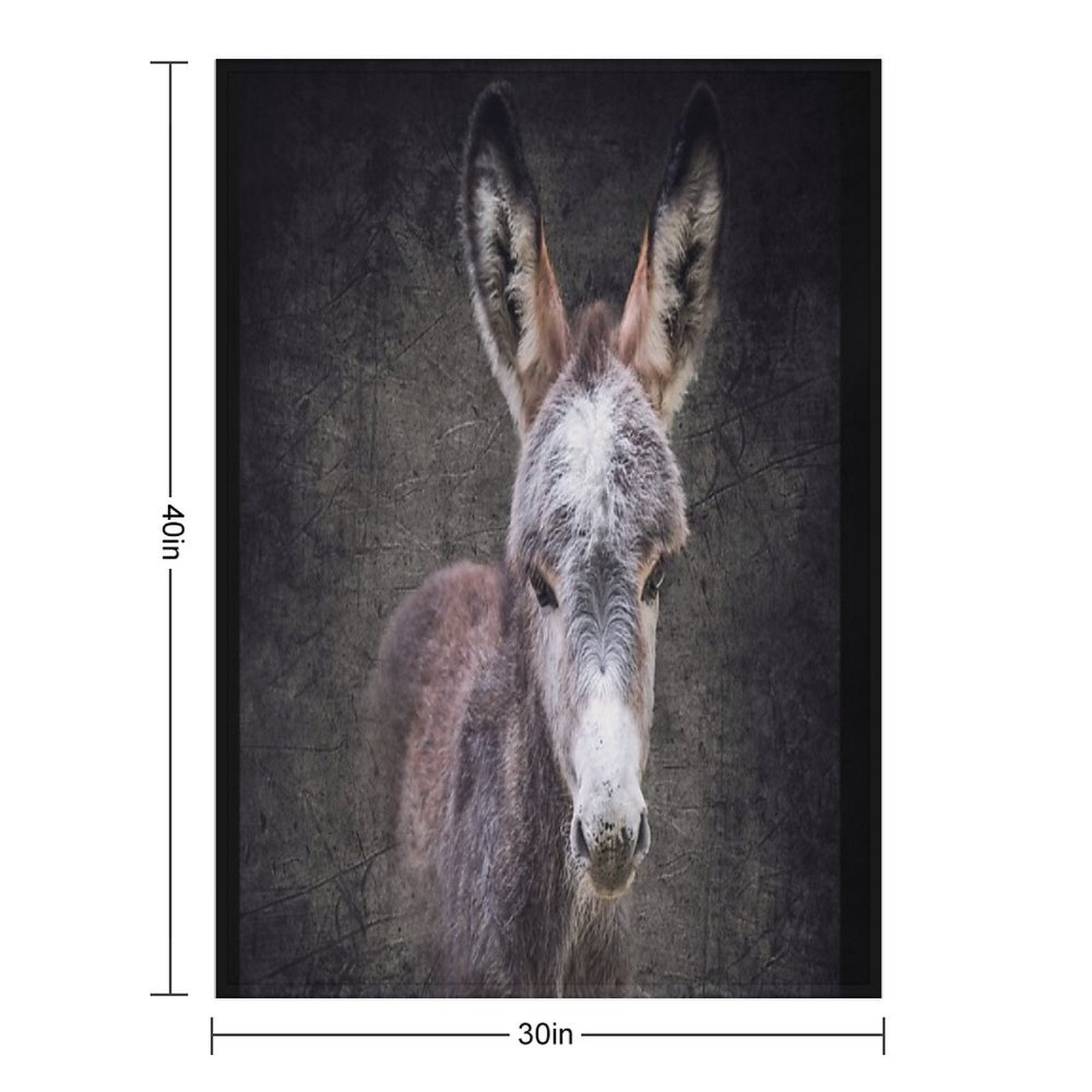 Donkey Foal Mattheo Plush Throw Blanket