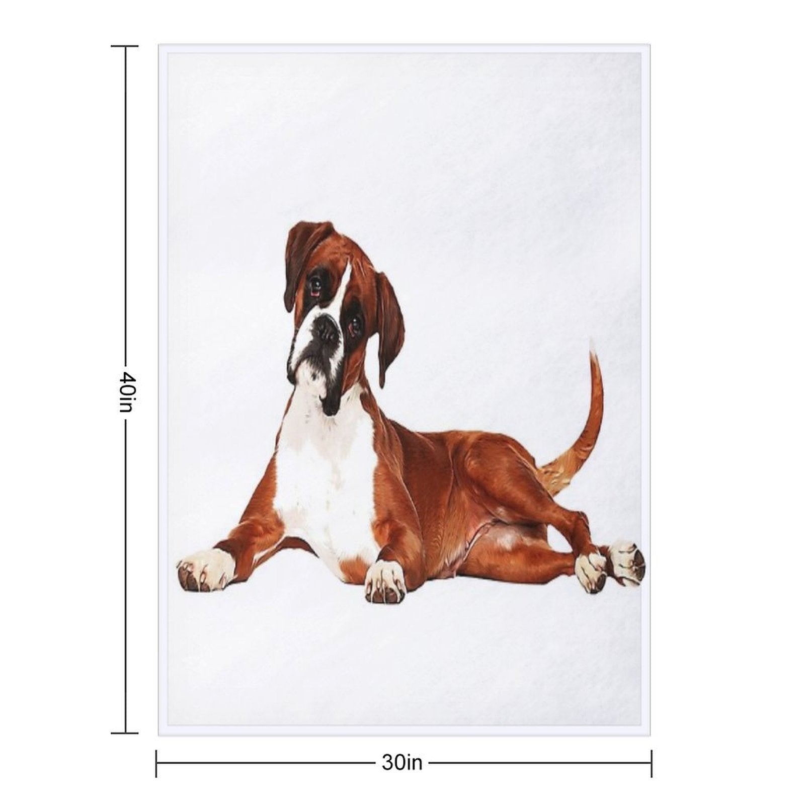 Adorable Boxer Dog Comfort Throw Blanket