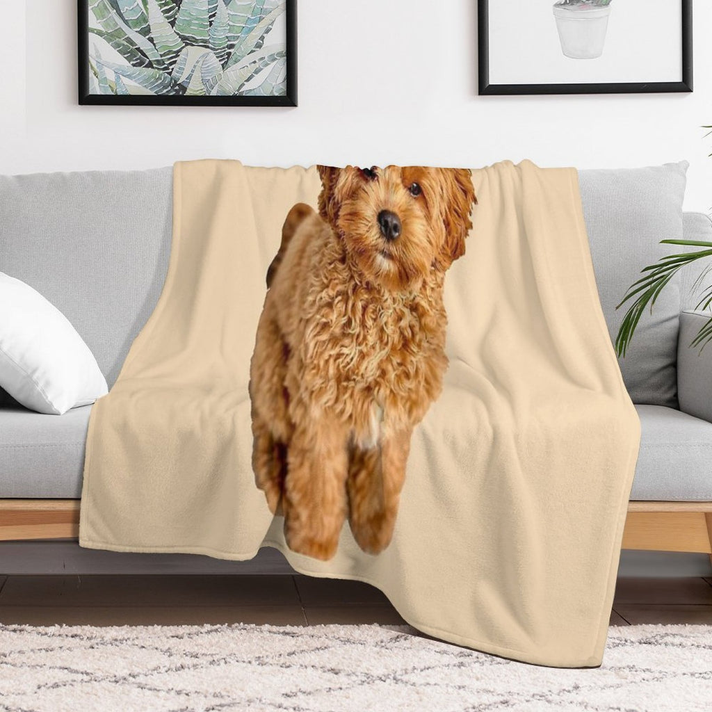 Cavapoo Multi-functional Throw Blanket