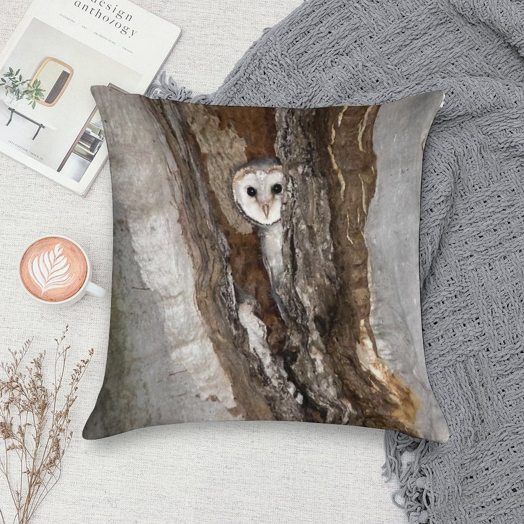 Barn Owl Peekaboo Soft Hidden Zipper Throw Pillow