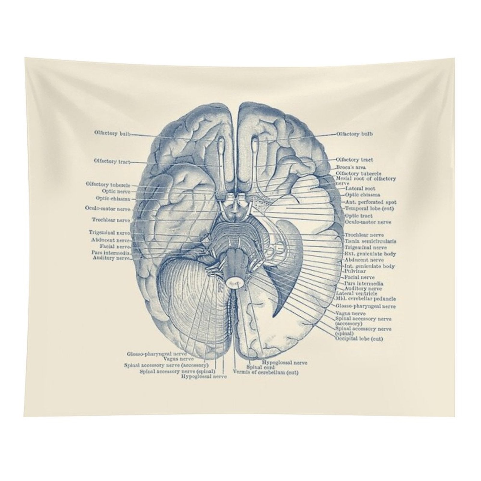 Brain Nervous System Diagram Tapestry