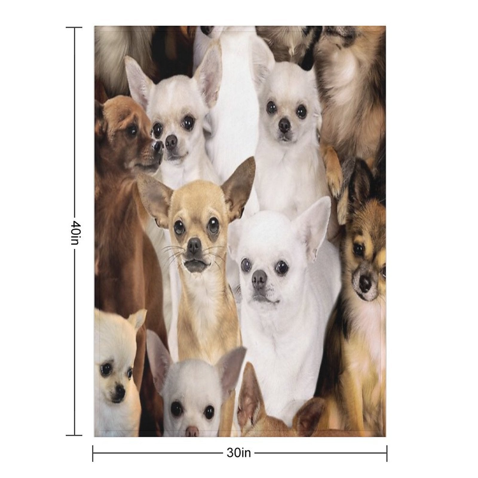 Chihuahuas Anti-pilling Throw Blanket