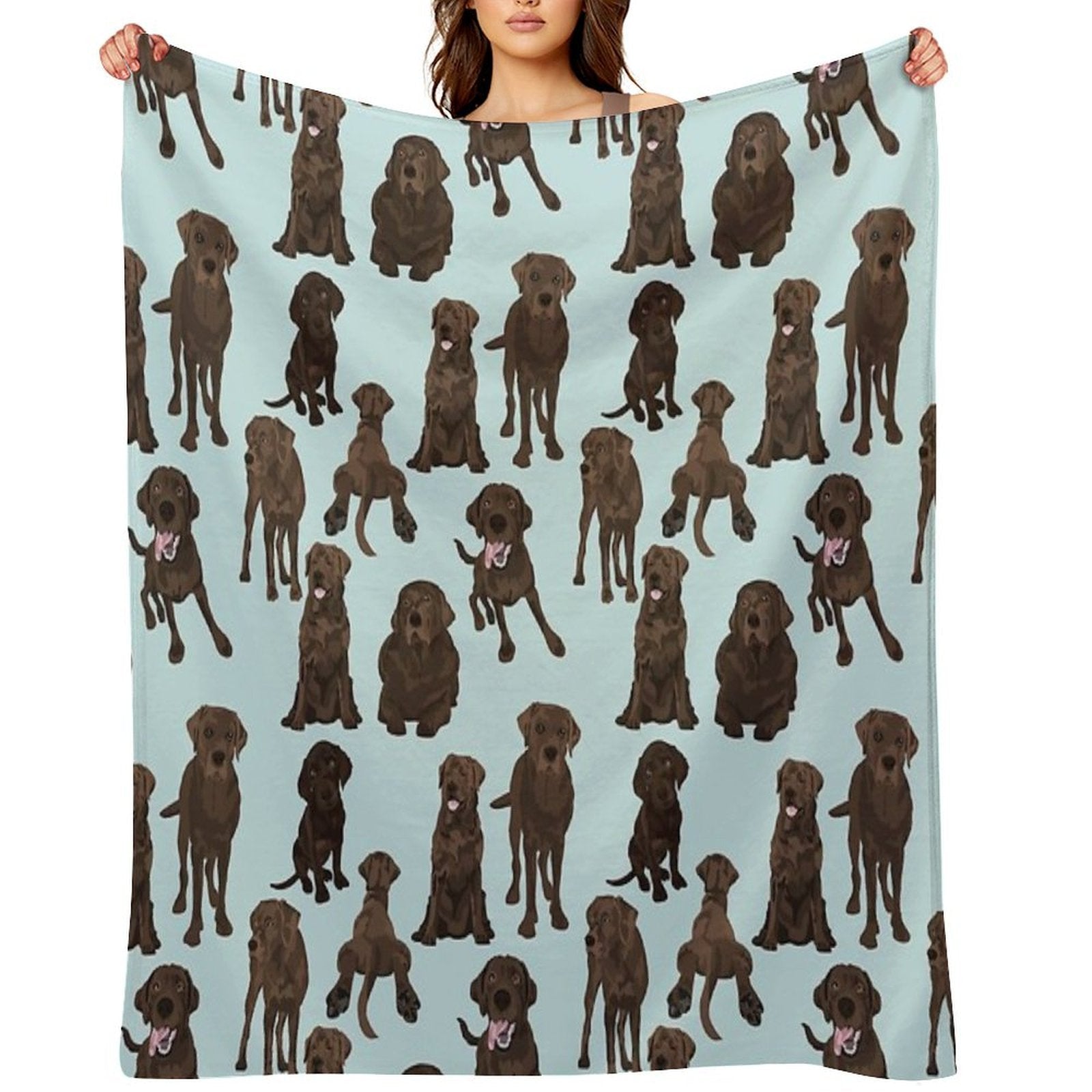 Chocolate Lab Quick-dry Throw Blanket