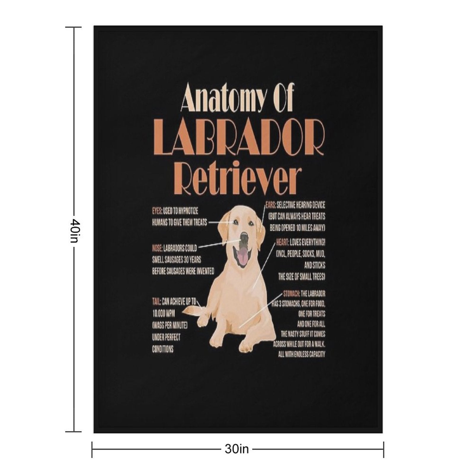 Anatomy of Labrador Retriever Premium Throw Blanket