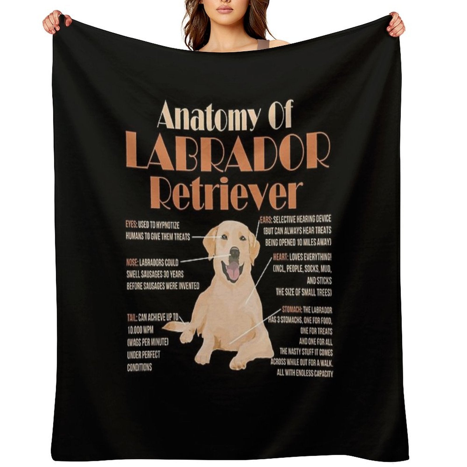 Anatomy of Labrador Retriever Premium Throw Blanket