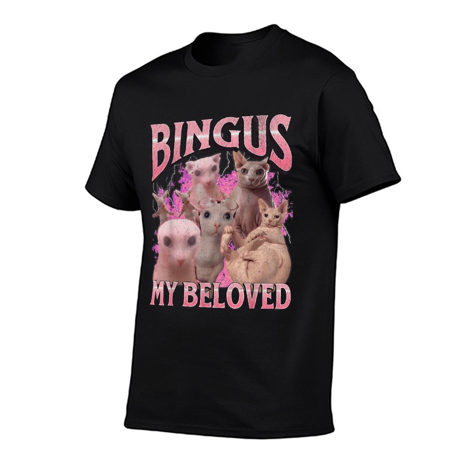 Bingus My Beloved Funny Sphinx Cat Meme Bootleg Graphic for Men Women Kids  Slim-fit Cut T-Shirt